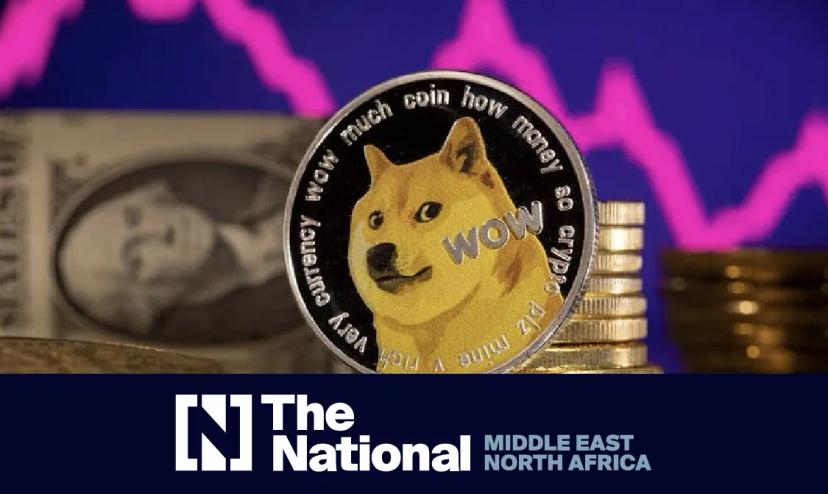 How investors can navigate the wild world of meme coins